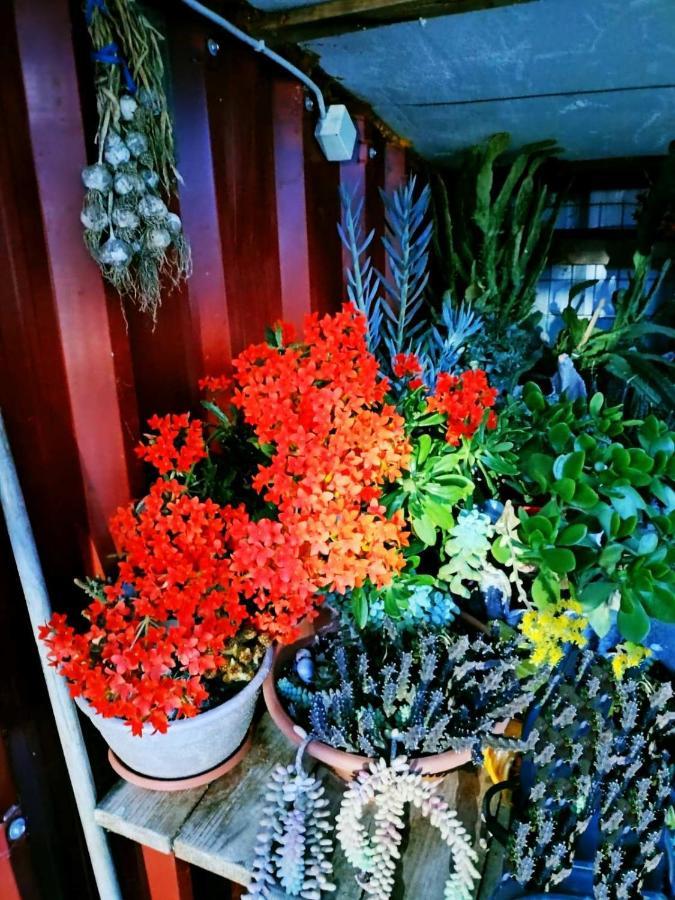 Adam'S Holiday House 2019 Karianí Kültér fotó